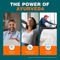 6X Himalaya Ashwagandha Tablets 360 Count Herbal Ayurvedic Wellness Supplemet