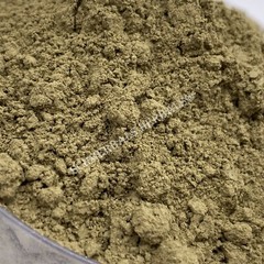 Stone Breaker, Phyllanthus urinaria, Plant Powder ~ Schmerbals Herbals