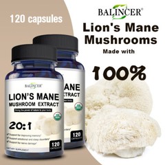 ORGANIC LION’S MANE MUSHROOM EXTRACT – BRAIN AND MOOD SUPPORT