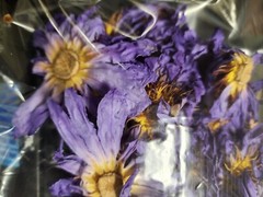 Organic Blue Lotus Dried Flowers • Premium Nymphaea caerulea • FREE SHIPPING