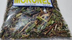 Moronel Planta de La Vida Te de moronel moronel organico hierba mexicana