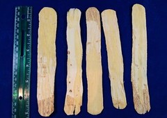 Whole Astragalus Root Slices | Premium Quality | Huang Qi | Extra Large