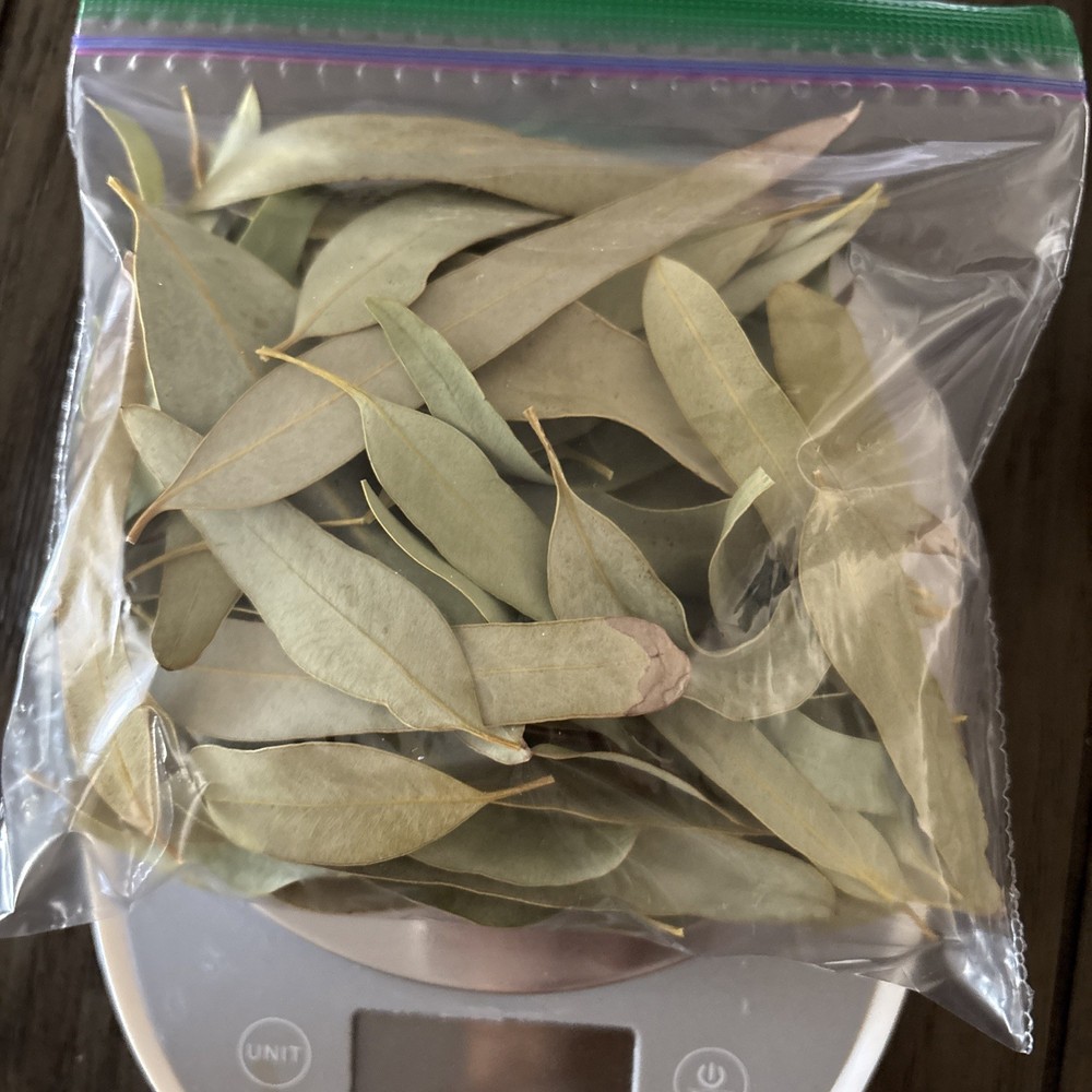 ORGANIC Herbal Loose Dried EUCALYPTUS LEAVES Cold,Flu,Congestion, Natural No GMO