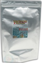90% Plus Purity Fucoidan Extract 250 Gram by Kanehide Bio (Okinawa)