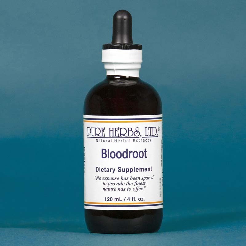 Pure Herbs: Blood Root (Red Root) – 4 oz. (Natural Herbal Extracts)