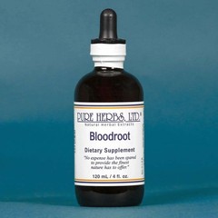 Pure Herbs: Blood Root (Red Root) – 4 oz. (Natural Herbal Extracts)