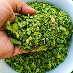 Ceylon Moringa Leaves Whole Dried Natural Moringa Oleifera Herbal Leaf