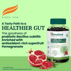 6X Himalaya Healthy Gut Probiotic Gummies 180 Count Strawberry Gummies