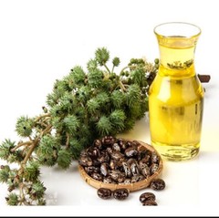 POKEBERRY ROOT & CASTOR OIL LYMPHATIC SUPPORT