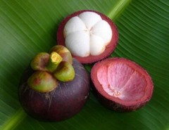 Complete Holistic Wellness – MANGOSTEEN COMPLEX – 3B 180 Caps