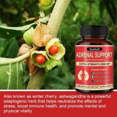 Adrenal Support Supplement, Ashwagandha, Panax Ginseng, Rhodiola Rosea