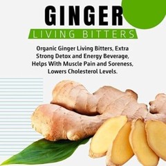 Herbal Ginger And Moringa Living Bitters-16oz-Health Tonic & Energy Booster Pack