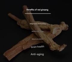 Korean 6 Year Old Red Ginseng Extract Gold 240g x 4ea KOREA Saponin Panax NEW