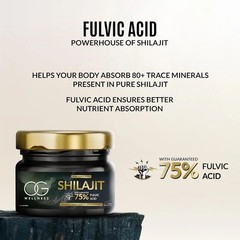 OG Beauty Shilajit Resin 20gm