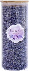 8 Cups Lavender in Large Glass Bottle, Highland Dried Lavender Flower Buds,