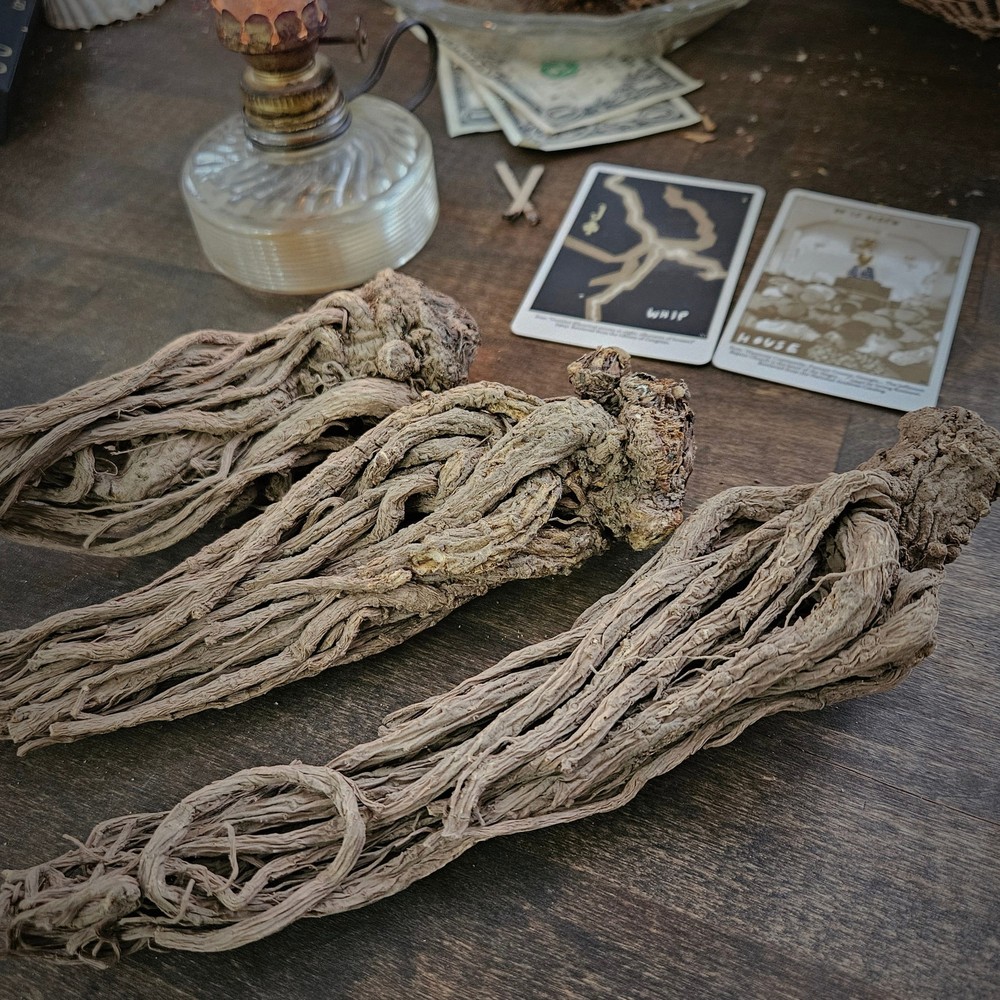 Master Root
