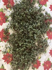 Dried Mint Leaves Gourmet -flakes Leaves organic 2oz I plant It Harvested 03/25