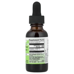 Astragalus Root Liquid Extract, Alcohol Free, 1 fl oz (30 ml)