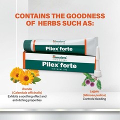 1 x 30gm Himalaya Pilex Forte Ointment| 100% Safe Ayurvedic | FREE SHIPPING
