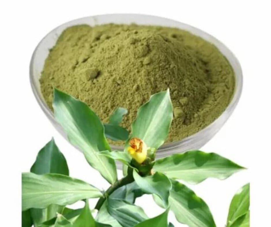 100% Natural Organic Insulin Plant (Costus Igneus) | Healthy & Herbal 100g