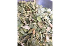 DRIED SIDR LEAVES. Natural, Healthy and Organic. ورق سدر مجفف