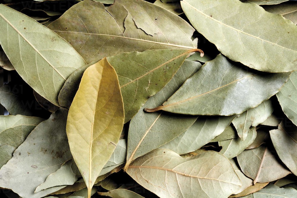 Bay Leaf Organic Dried Cut / Farm Fresh Packed USA Free Ship