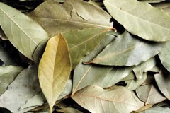 Bay Leaf Organic Dried Cut / Farm Fresh Packed USA Free Ship
