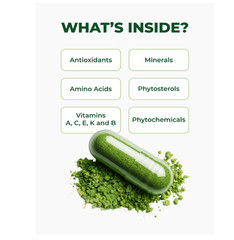 PURA VIDA MORINGA Capsules Single Origin Moringa Powder Organic. Pure Moringa