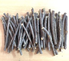 20 Pc Neem Sticks Azadirachta Indica Sticks DATUN for Teeth and Gums FREE SHIP