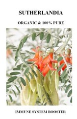 Sutherlandia frutescens (8 ounces / 228 grams) – Organic Herb!