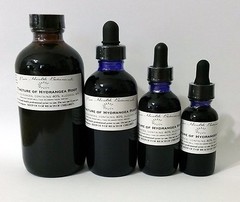 Hydrangea Root Tincture Extract, Highest Quality, Hydrangea Arborescens