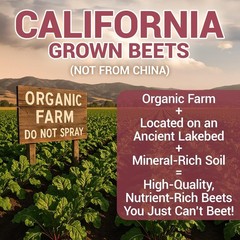 Dr. Berg Raw Organic Beet Powder from Real Earth-Grown Beets – USDA Certified…