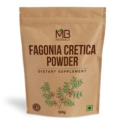 Fagonia cretica Powder 500gm | Virgin’s Mantle | Dhamasa Damahan Powder