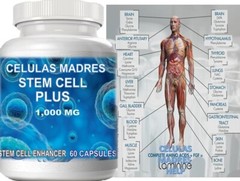 Celulas Madres 240 Caps StemCell Support mother cell Biotrix Bioxcell Cell 4