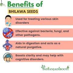100% Natural Bhilawa Seeds Semecarpus Anacardium | Bhallataka Seeds- 400 GRAMS