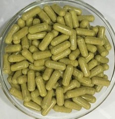 ORGANIC Berberis Aristata Capsules Berberine Pure & High Quality