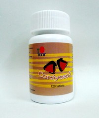 1 DXN Lion’s Mane 120 Tablets Hericium Erinaceus Nootropic Brain Focus Memory
