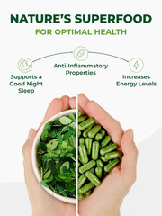 PURA VIDA MORINGA Capsules Single Origin Moringa Powder Organic. Pure Moringa