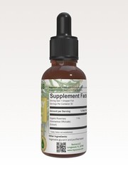 Rosemary Tincture – (Memory & Focus) Alcohol Free
