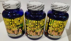 Calea Zacatechichi Mexican Dream Herb Hieba de Los suenos Leaf of God 100 Caps