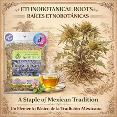 Hierba Del Sapo Herbal Tea 4oz | Mexican Thistle-Eryngium Heterophyllium | Craft