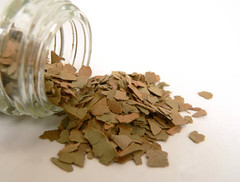Eucalyptus Leaf Herb 1 oz – Organic Cut & Sifted | Respiratory Support