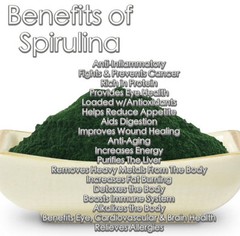 30 SuperFood Green Powder Tea Bags-Moringa•Spirulina•Wheatgrass•Kelp•Green Tea