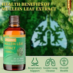 Organic Mullein Drops for Lung Cleanse, Powerful 1700mg Mullein Leaf Extract for