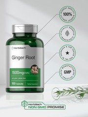 Horbäach Ginger Root Capsules 1500 mg | 150 Pills | Non-GMO, Gluten Free |…