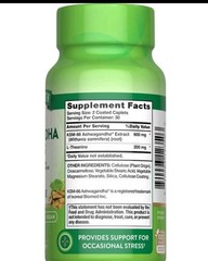 Nature’s Truth KSM-66 Ashwagandha 600mg + L-Theanine 60 Caplets Vegan