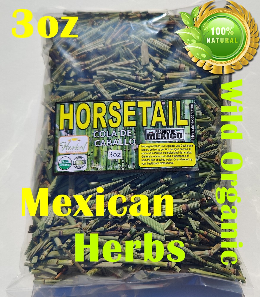 Horsetail,Shavegrass,Shave grass ,Field horsetail,Common horse tail,Equisetum !!