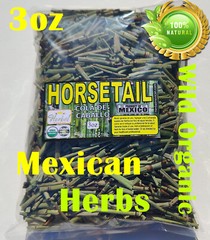 Horsetail,Shavegrass,Shave grass ,Field horsetail,Common horse tail,Equisetum !!