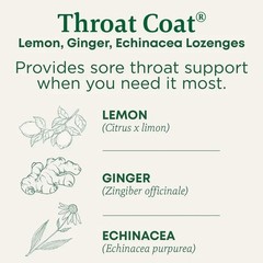 Traditional Medicinals Organic Throat Coat Lemon Ginger Echinacea – 16 Ct