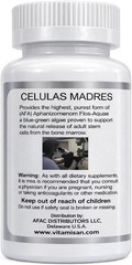 Stem Cell Enhancer